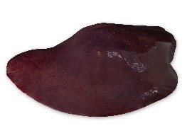 ตับหมู